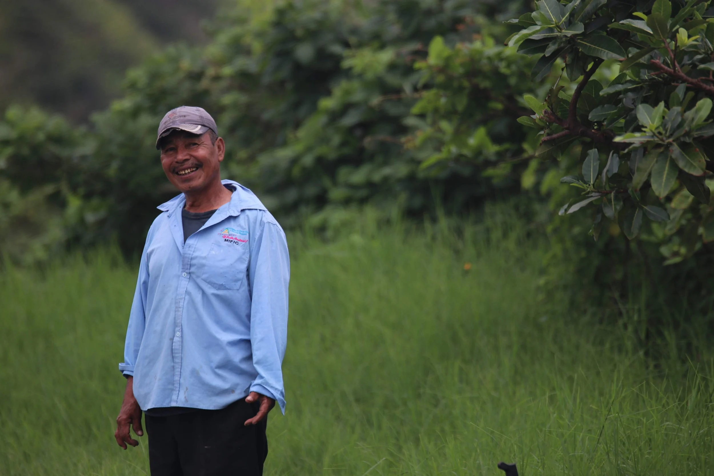 Sol Organica Press | Organic Fruit & Regenerative Sourcing News