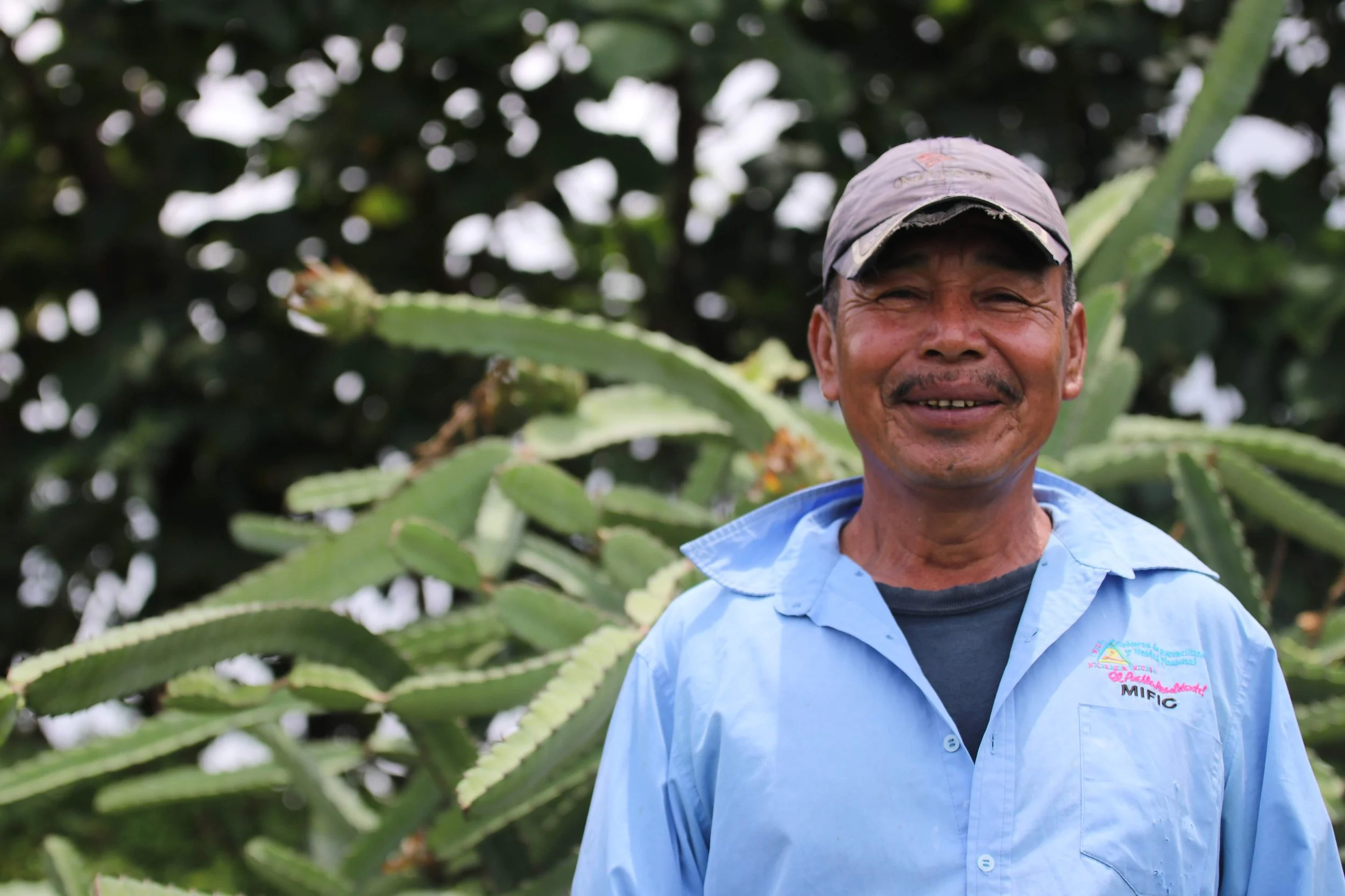 Company: Sustainable and Socially Practices