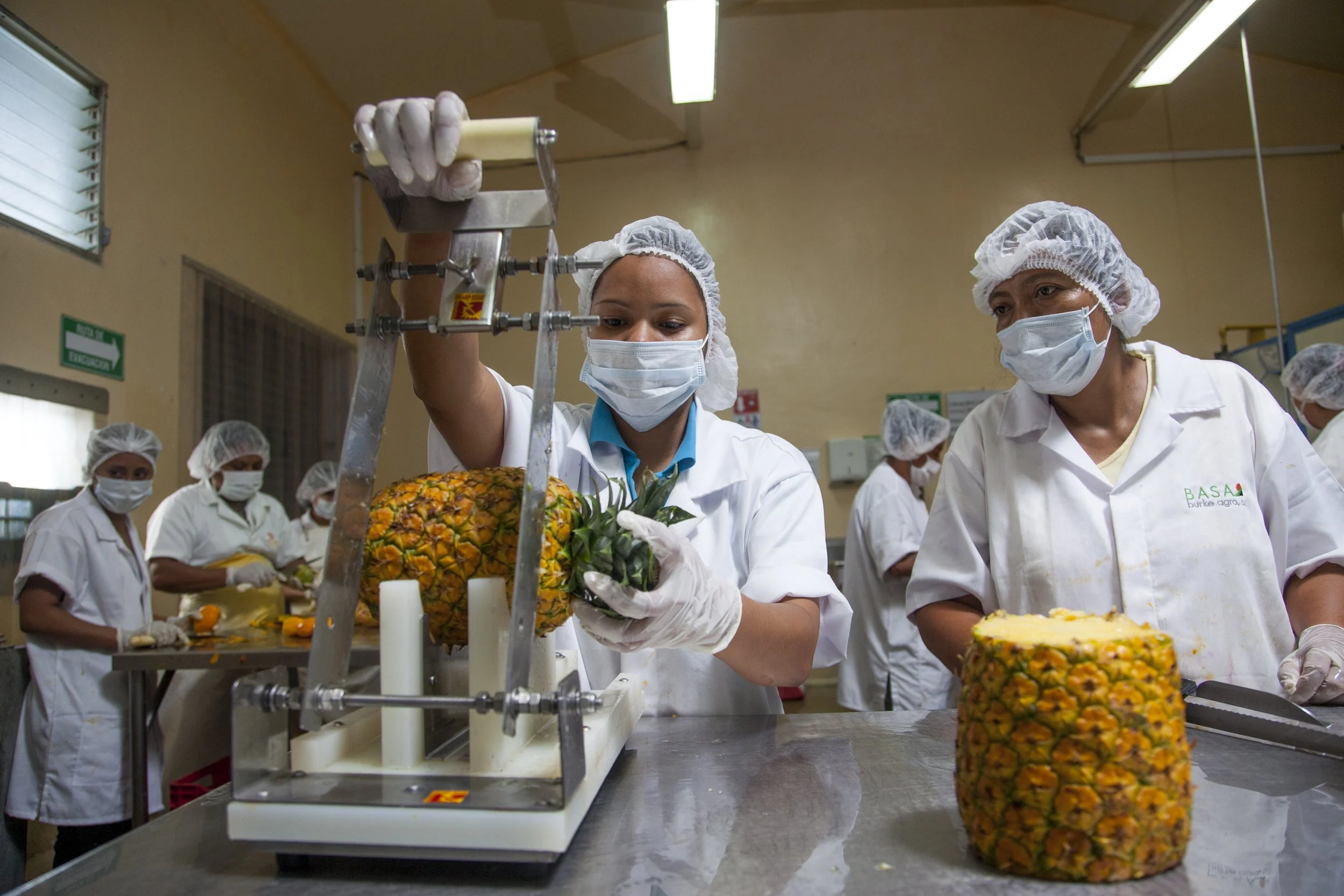Bulk IQF Tropical Fruit Supplier | Sol Organica