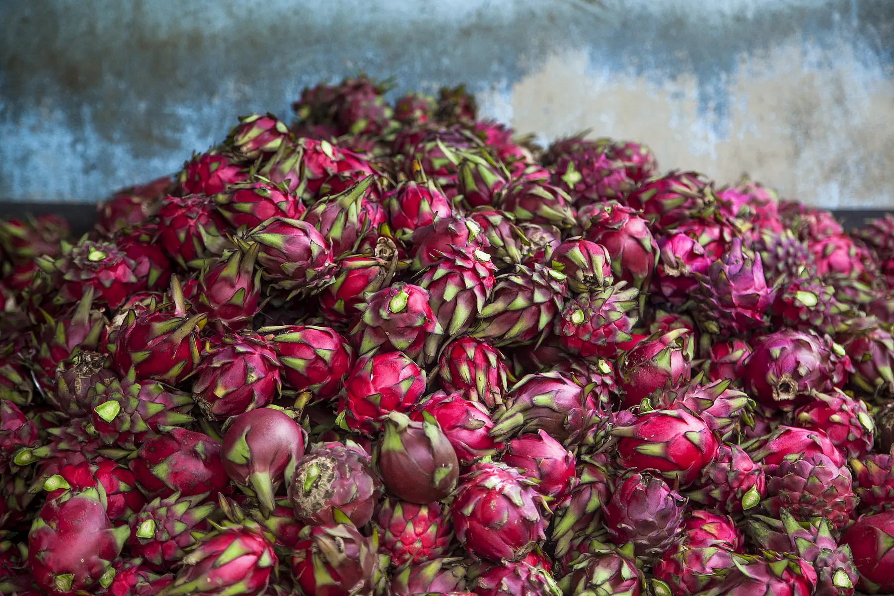 Nicaraguan dragon fruit for puree applications